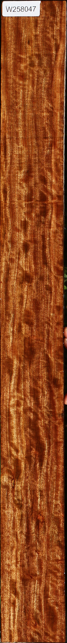 Extra Fancy Chechen Lumber