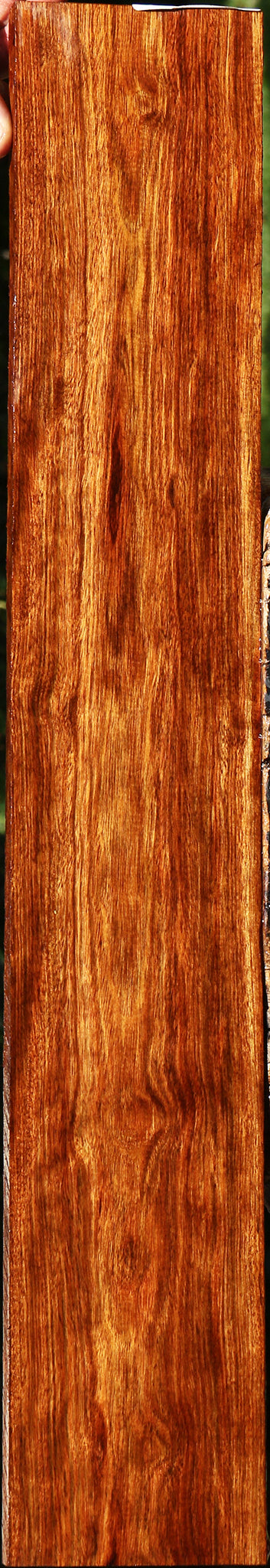 Chechen Lumber