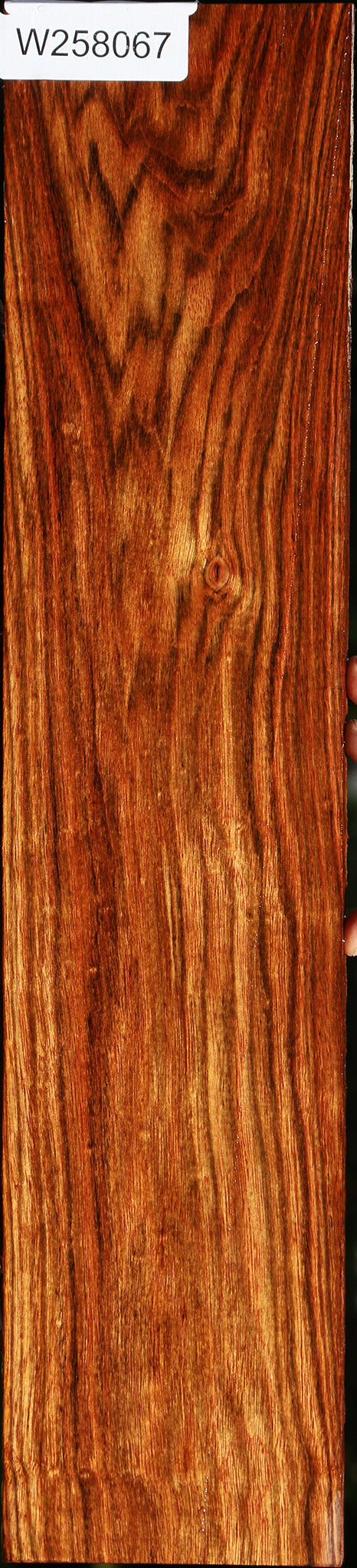 Chechen Micro Lumber
