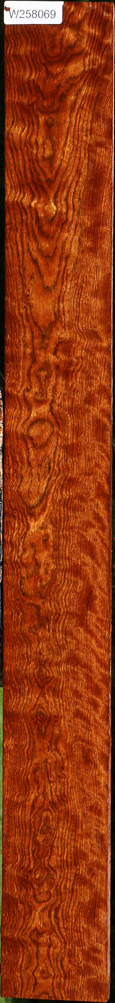 Extra Fancy Chechen Lumber