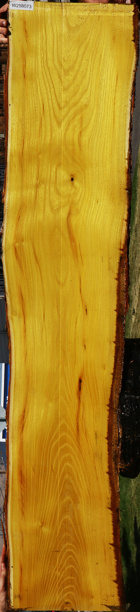 Osage Orange Live Edge Lumber