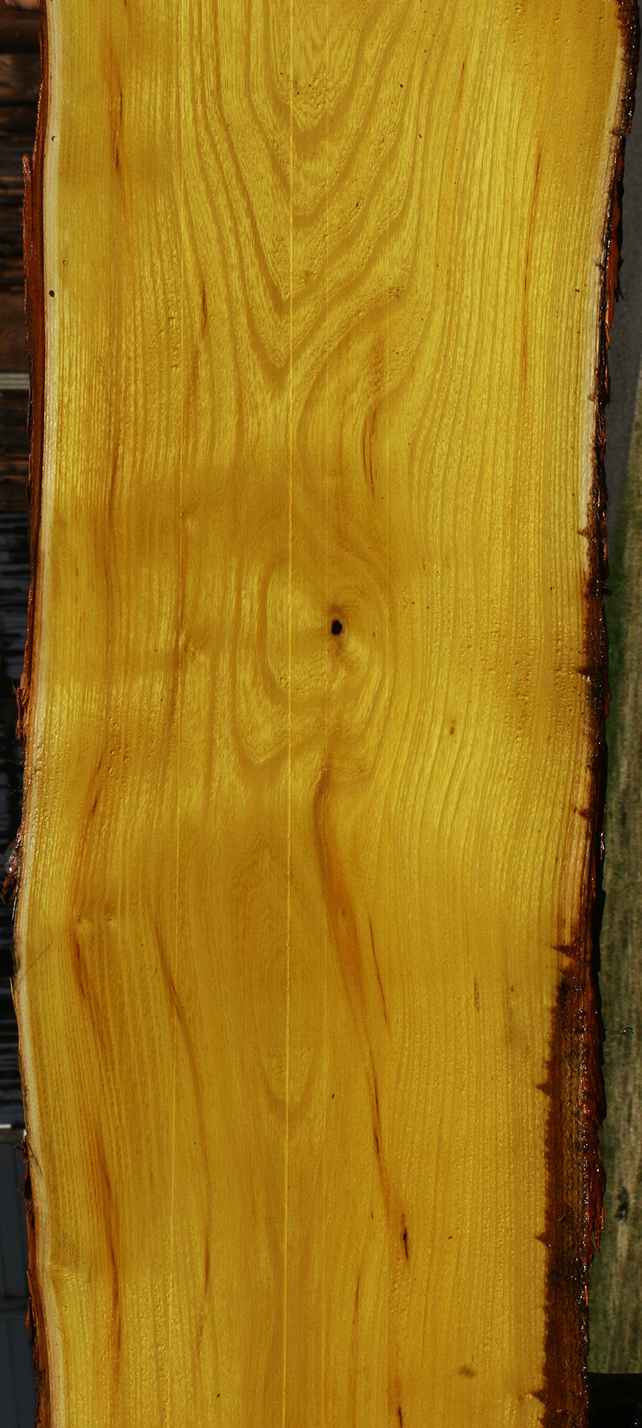 Osage Orange Live Edge Lumber