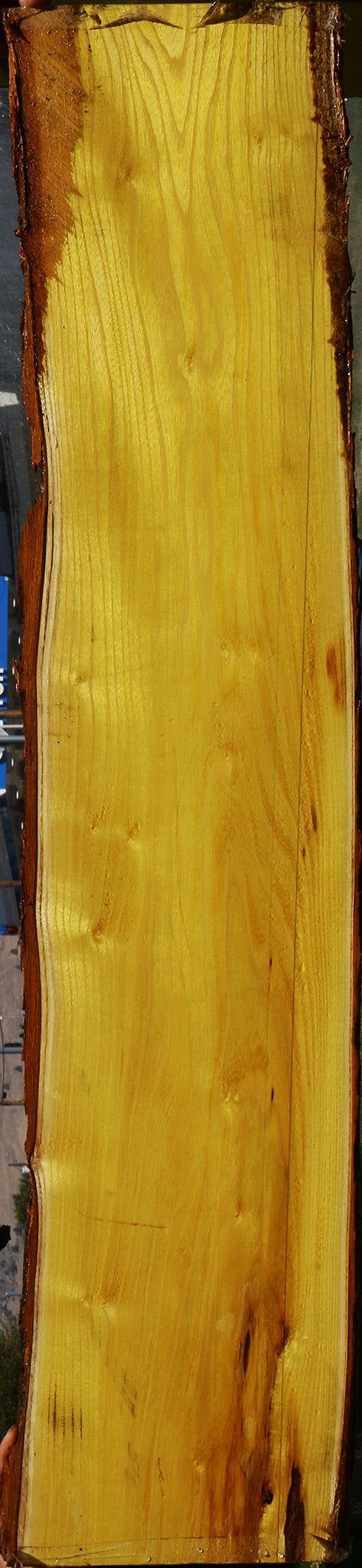 Osage Orange Live Edge Lumber
