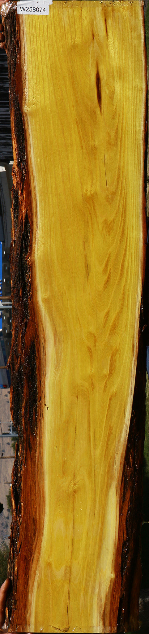 Osage Orange Live Edge Lumber