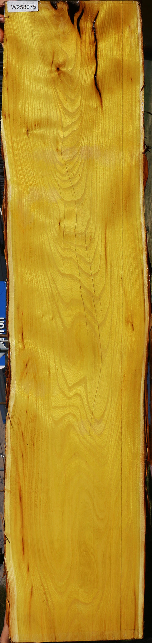 Osage Orange Live Edge Lumber