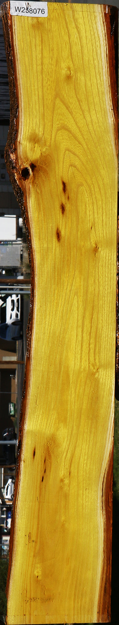 Osage Orange Live Edge Lumber