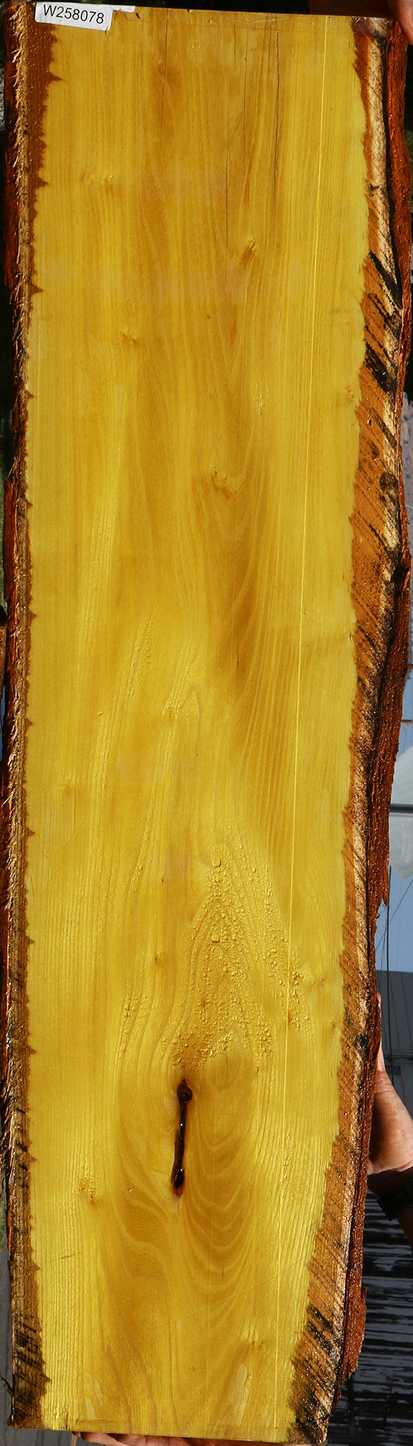 Osage Orange Live Edge Lumber