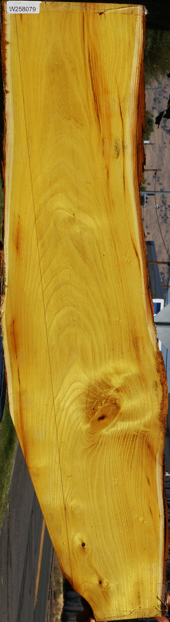 Osage Orange Live Edge Lumber