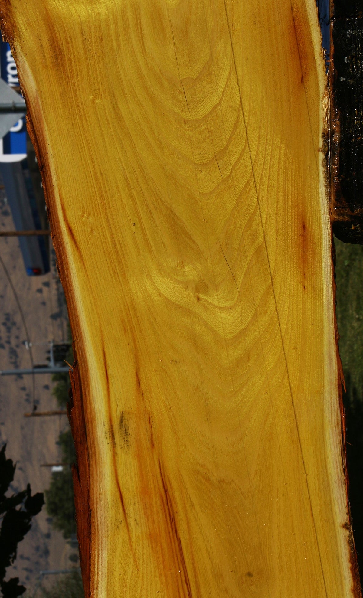 Osage Orange Live Edge Lumber