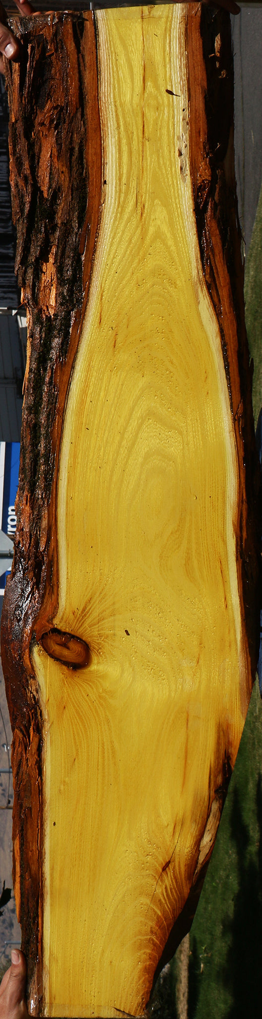 Osage Orange Live Edge Lumber