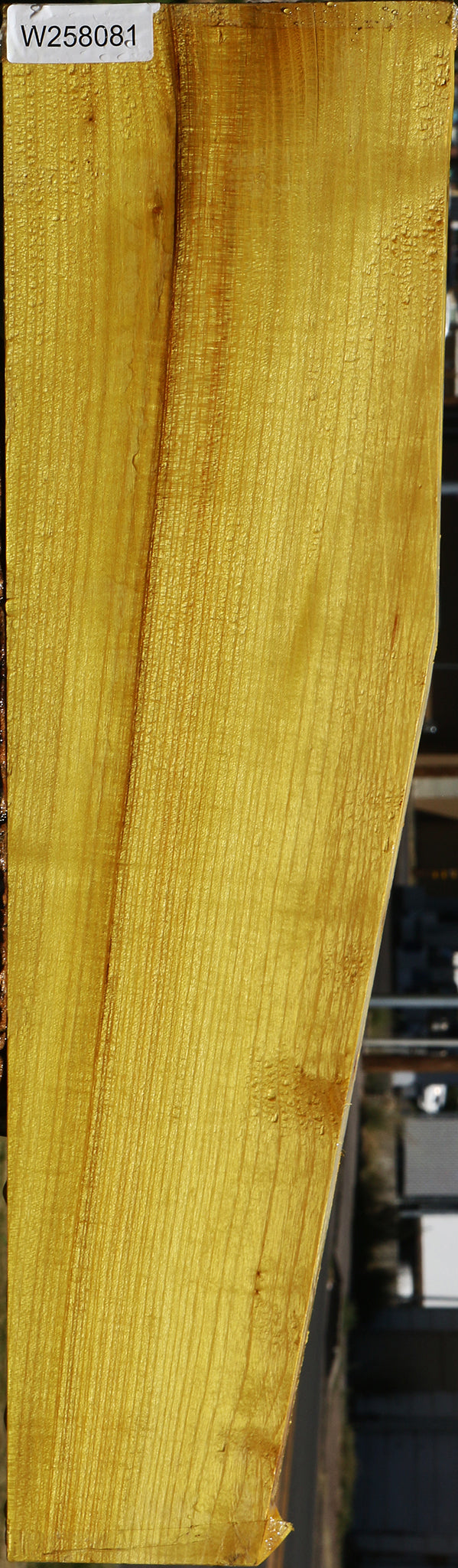 Extra Fancy Quartersawn Osage Orange Lumber