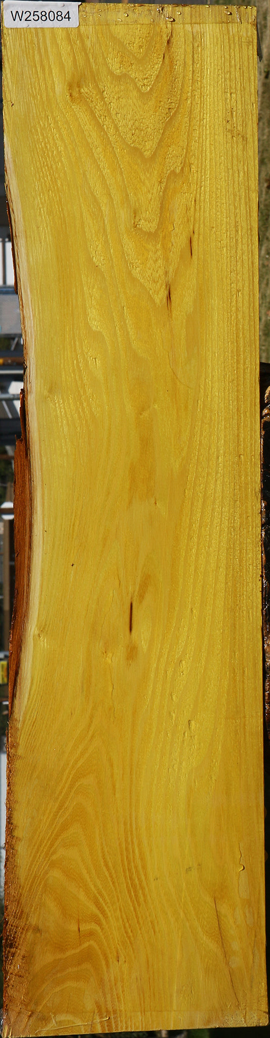 Osage Orange Live Edge Lumber