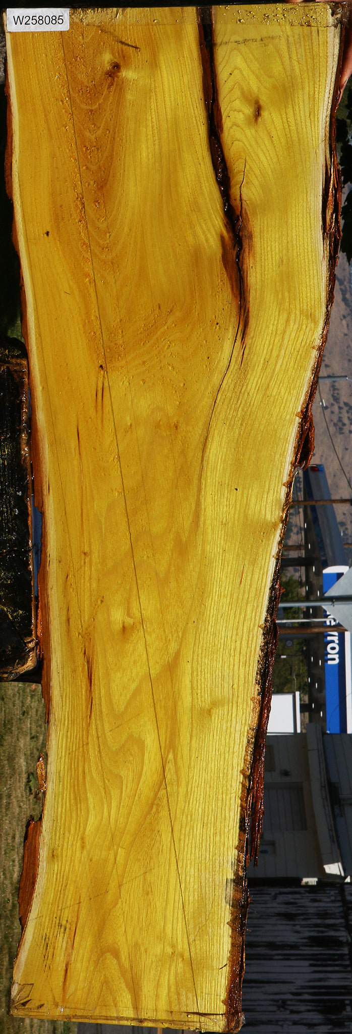 Osage Orange Live Edge Lumber