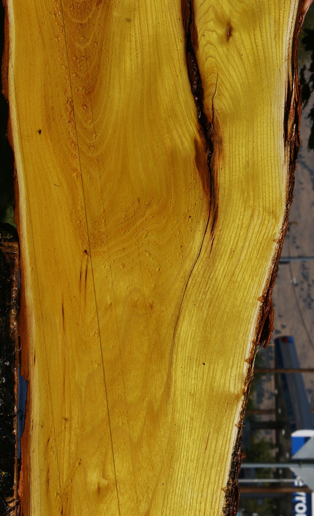 Osage Orange Live Edge Lumber