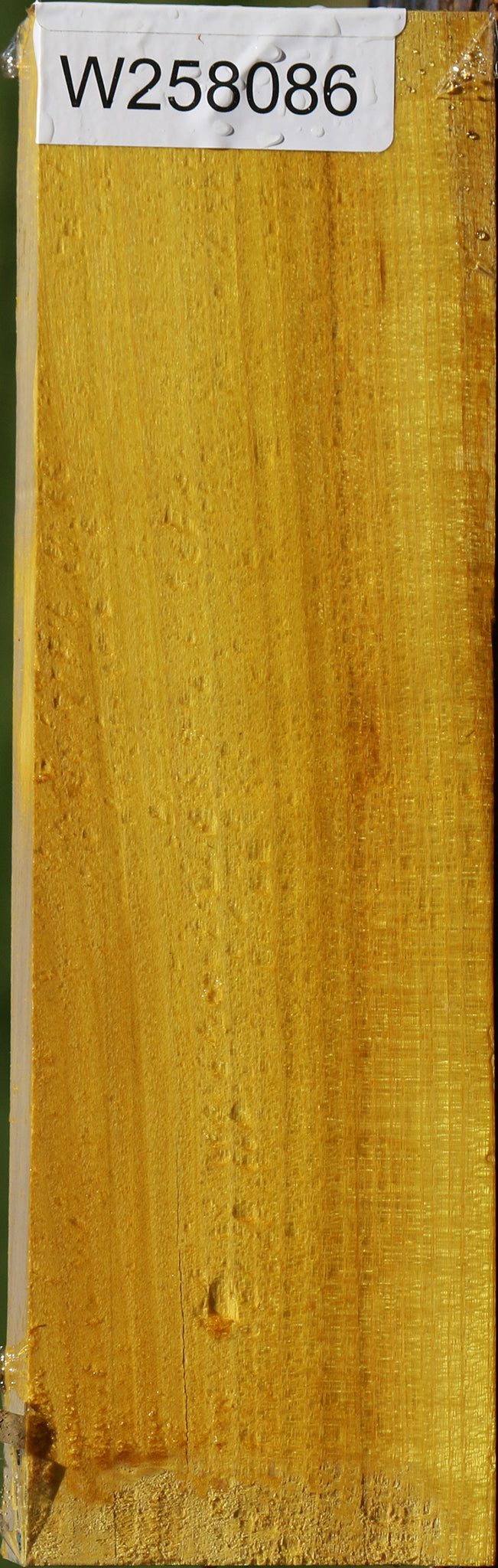 Osage Orange Lumber