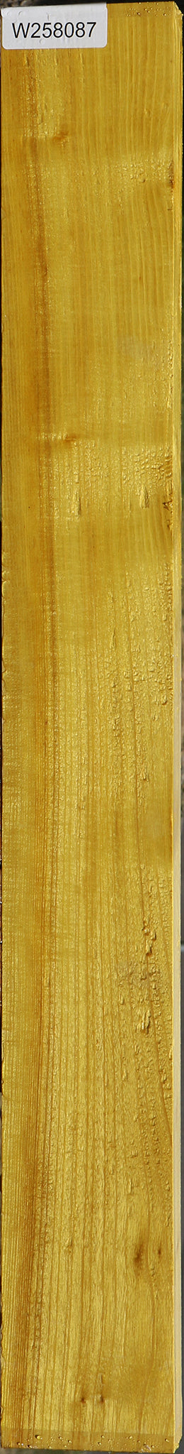 Extra Fancy Quartersawn Osage Orange Lumber