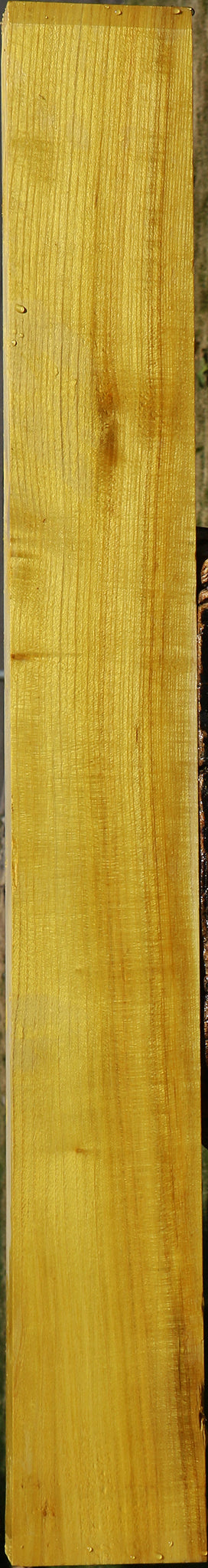 Extra Fancy Quartersawn Osage Orange Lumber