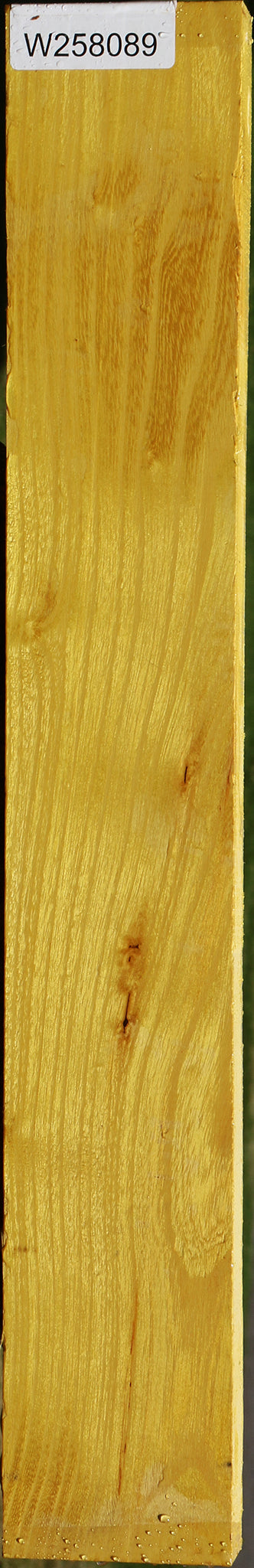Osage Orange Lumber