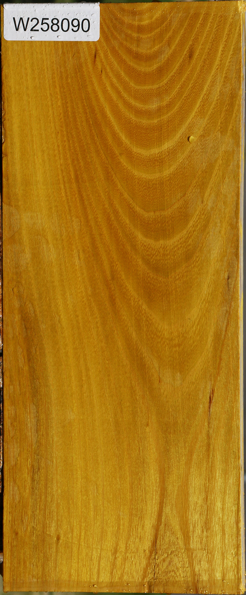 Osage Orange Lumber