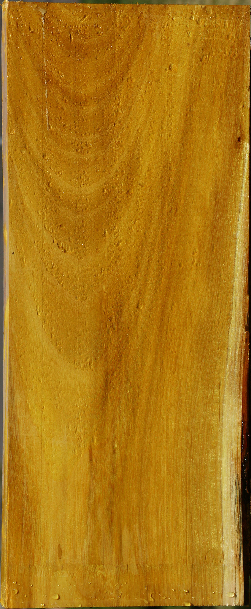 Osage Orange Lumber