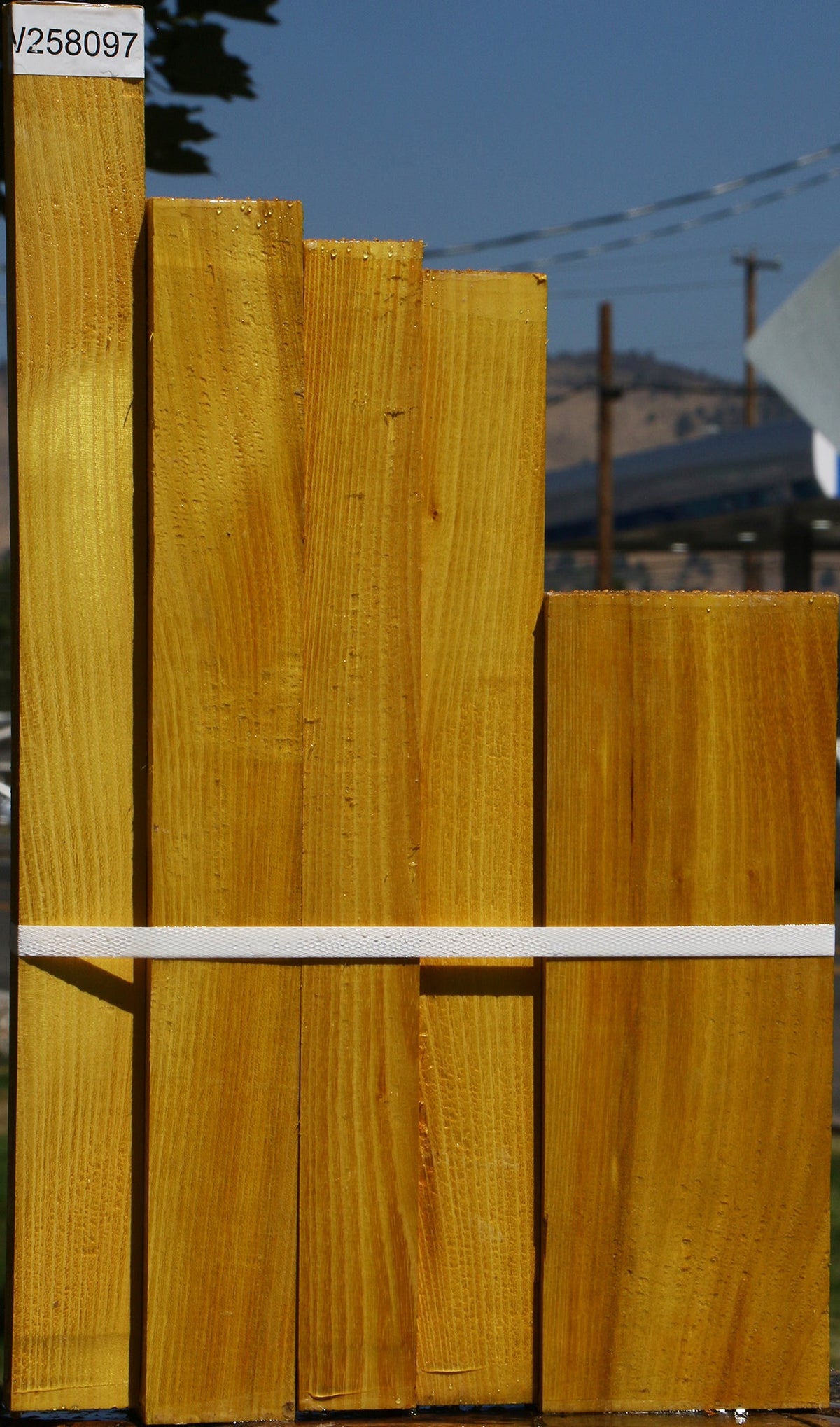 Osage Orange Lumber 5 Pack