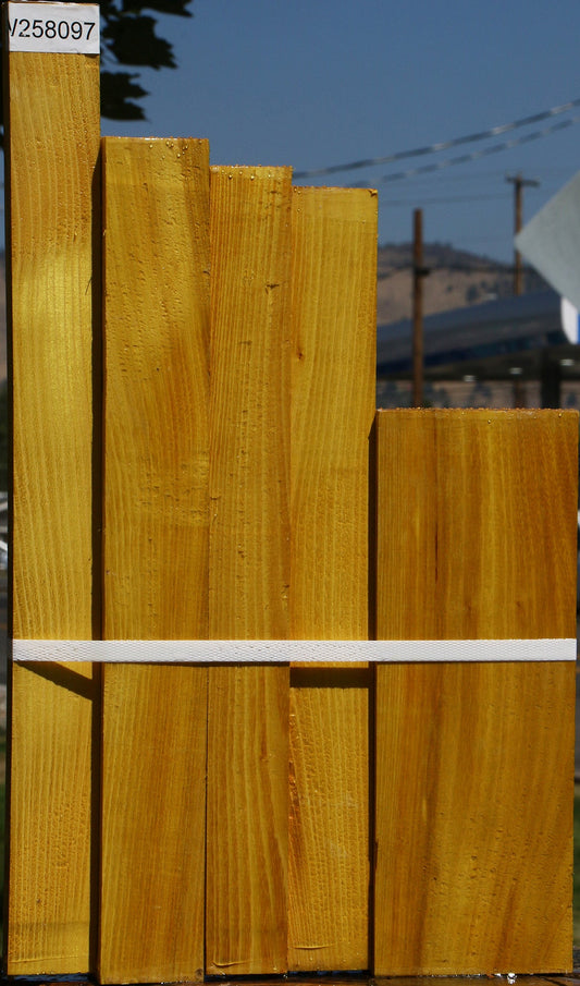 Osage Orange Lumber 5 Pack