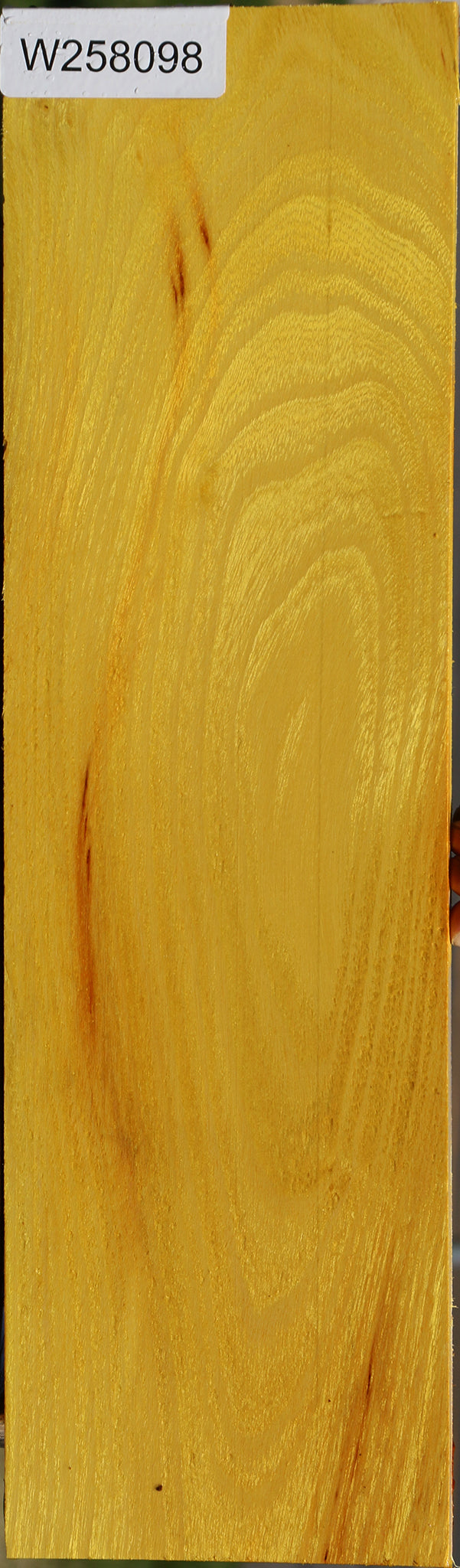 Osage Orange Micro Lumber