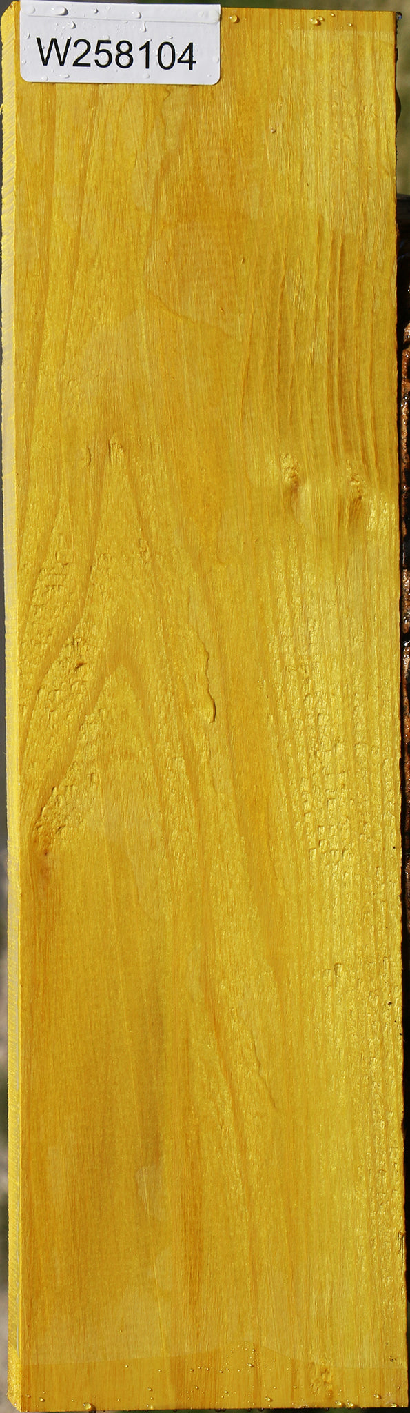 Osage Orange Lumber