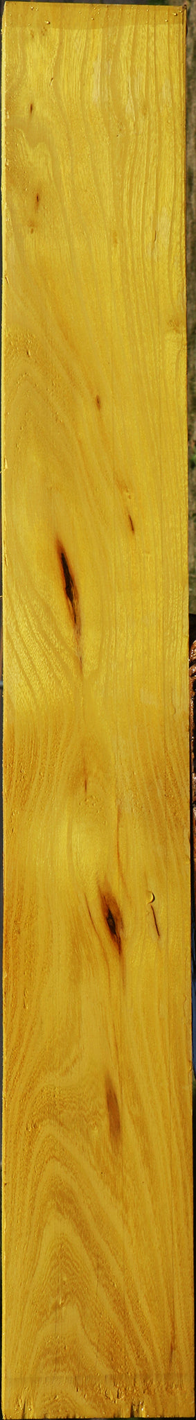 Osage Orange Lumber