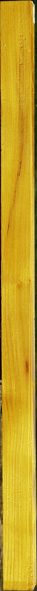 Osage Orange Turning Square