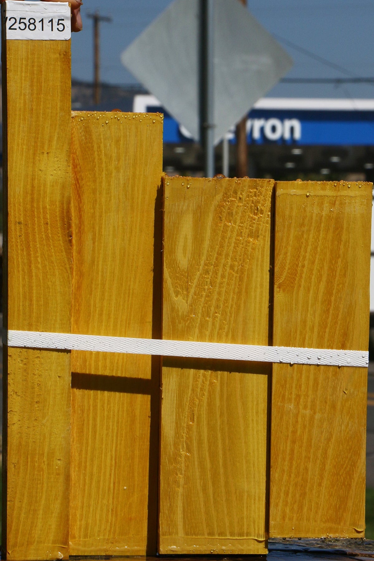 Osage Orange Lumber 4 Pack
