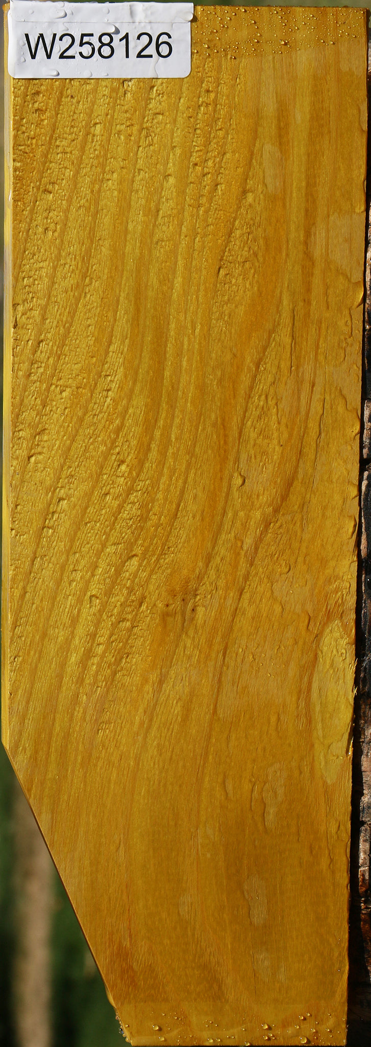 Osage Orange Lumber