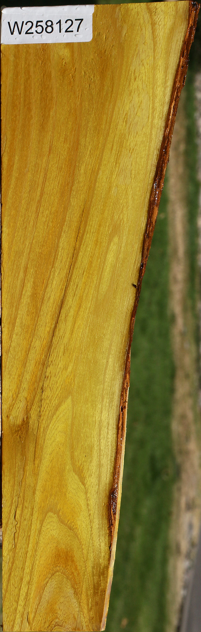 Osage Orange Micro Lumber