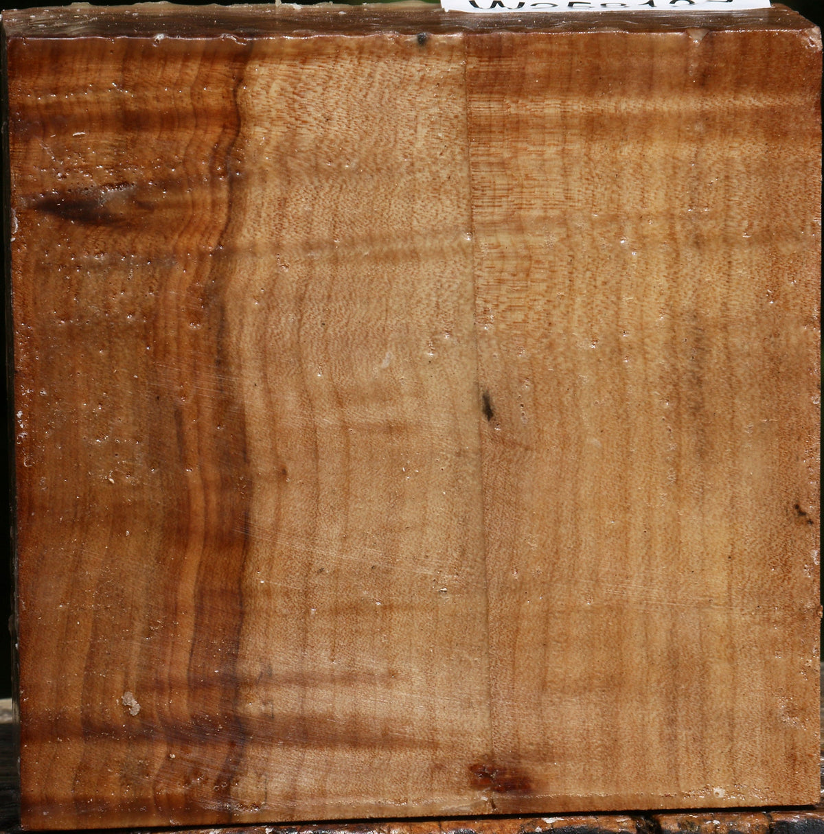 Figured Maple Bowl Blank