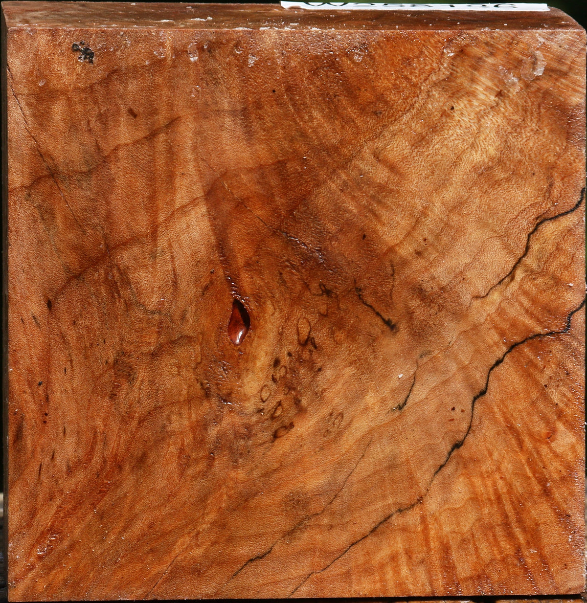 Extra Fancy Maple Bowl Blank