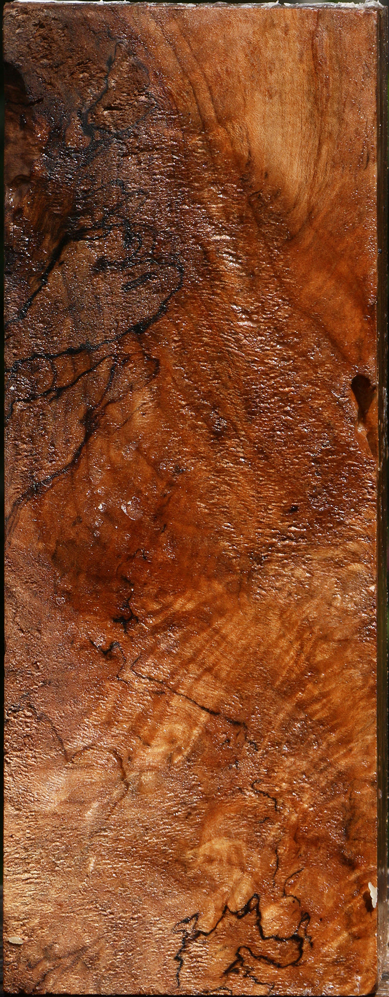 Figured Spalted Maple Vessel Blank