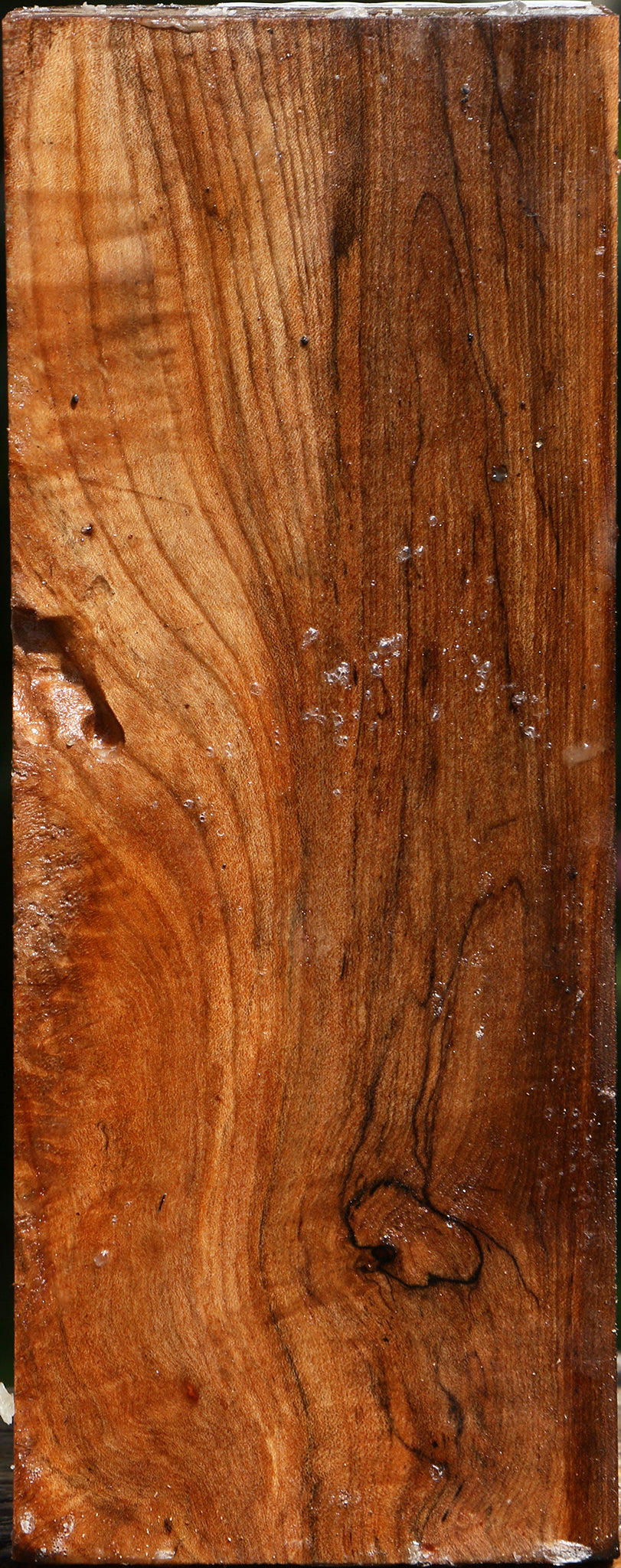 Figured Spalted Maple Vessel Blank