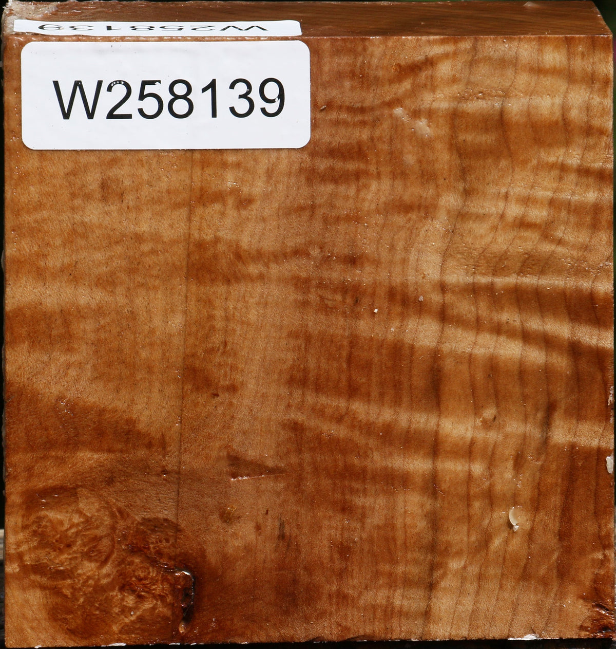 Figured Maple Bowl Blank