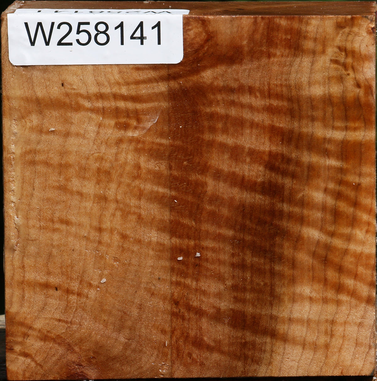 Figured Maple Bowl Blank