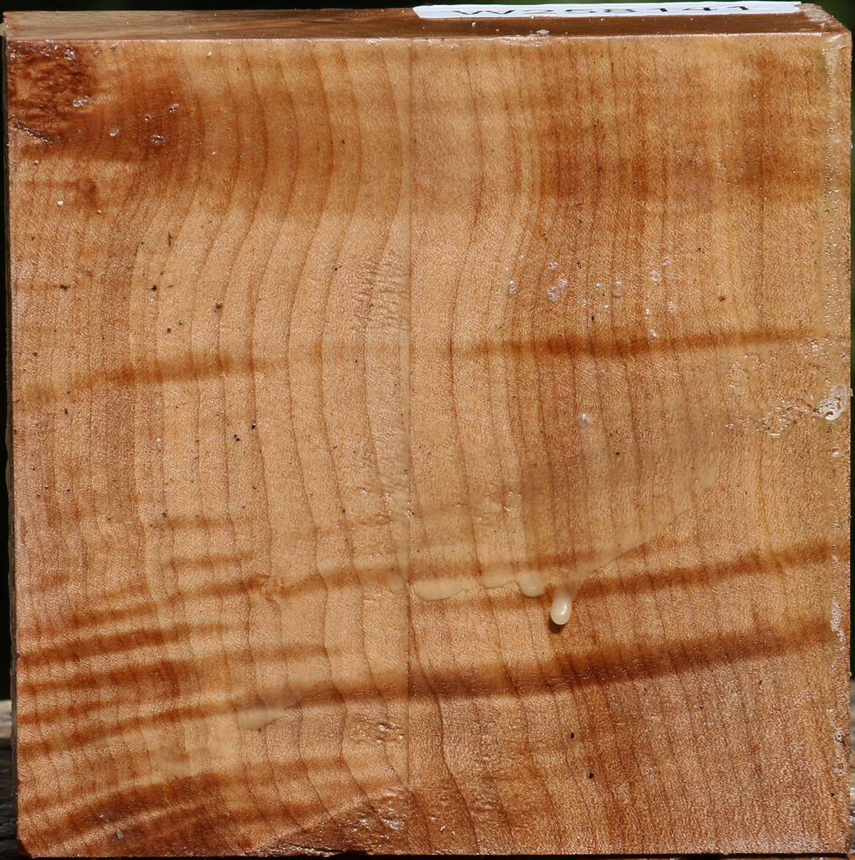 Figured Maple Bowl Blank
