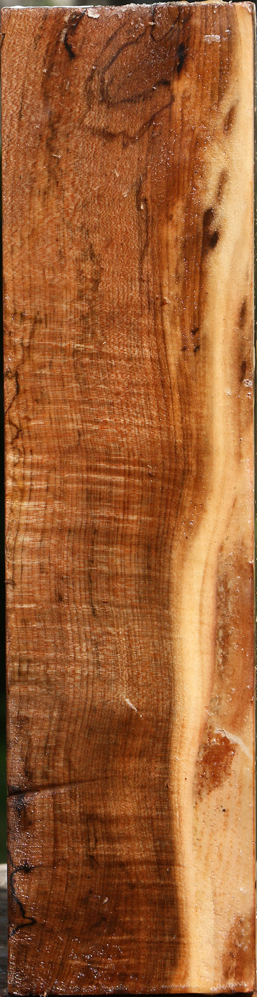 Figured Maple Peppermill