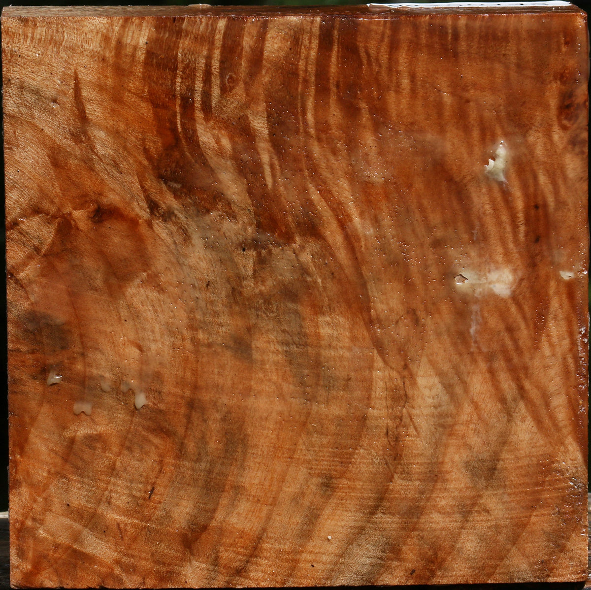 Figured Maple Bowl Blank
