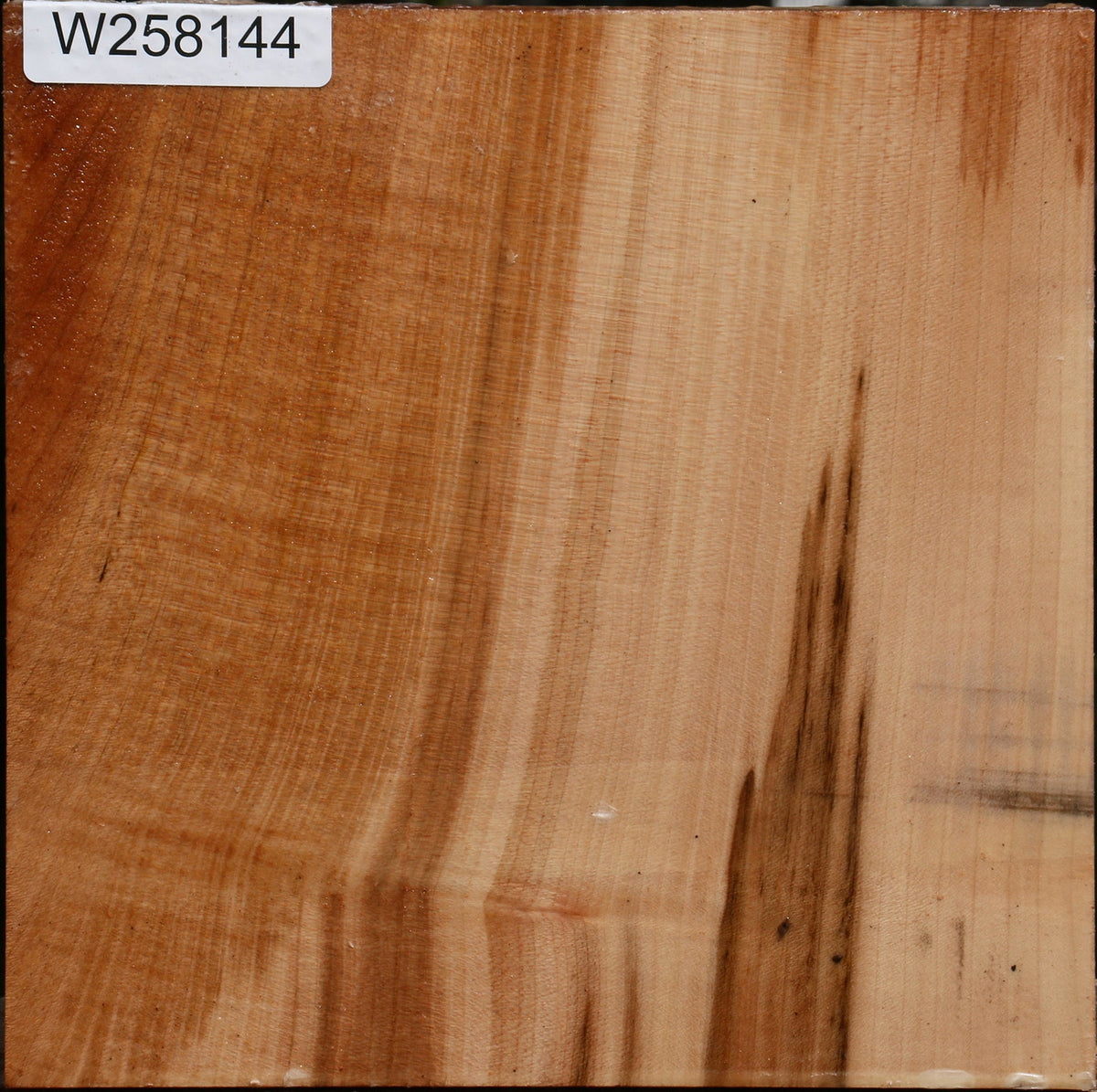 Figured Maple Bowl Blank