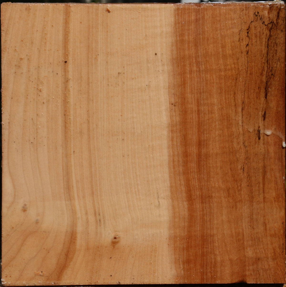Figured Maple Bowl Blank