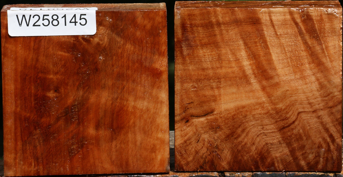 Maple Bowl Blank 2 Pack