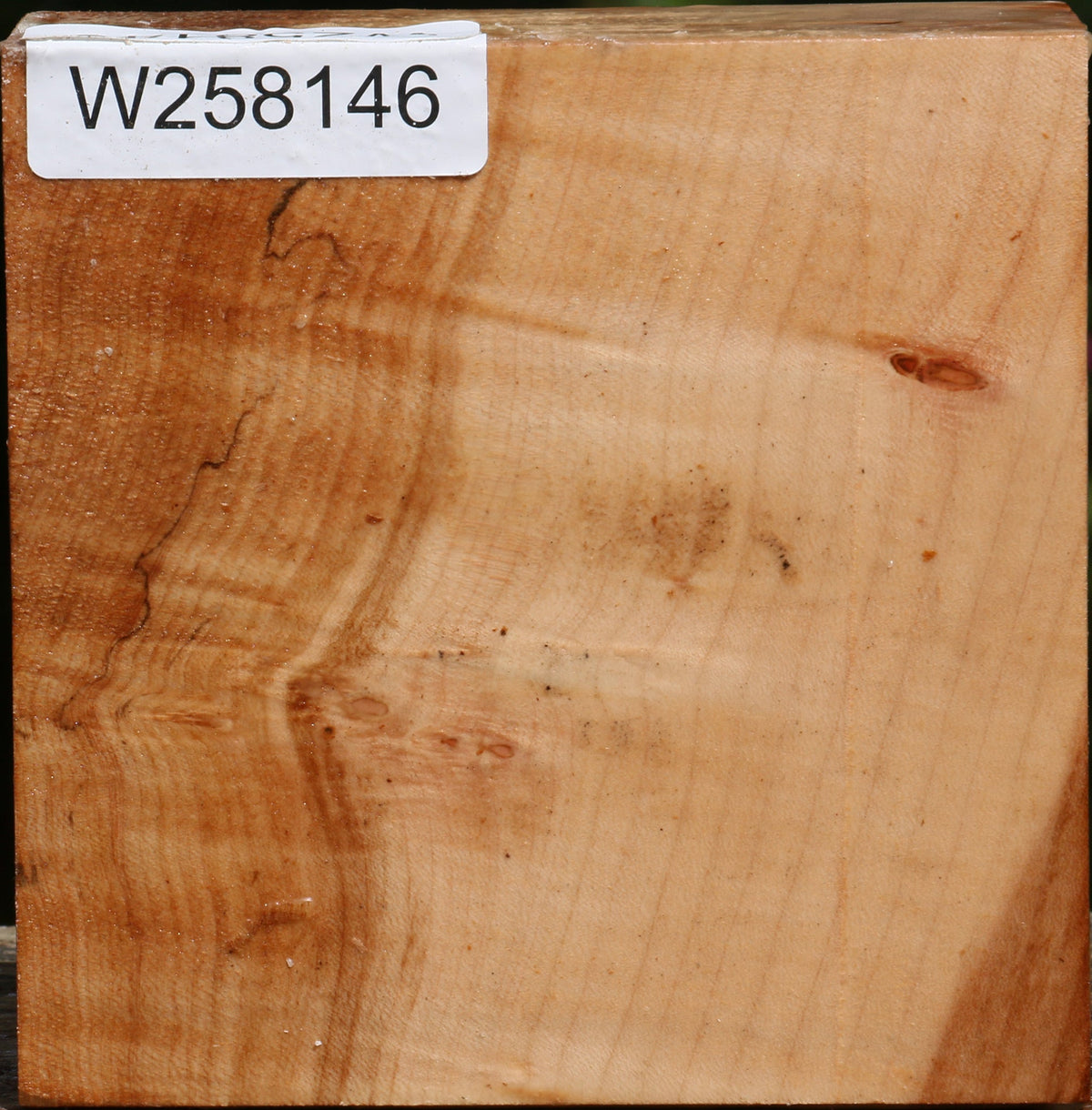 Figured Maple Bowl Blank