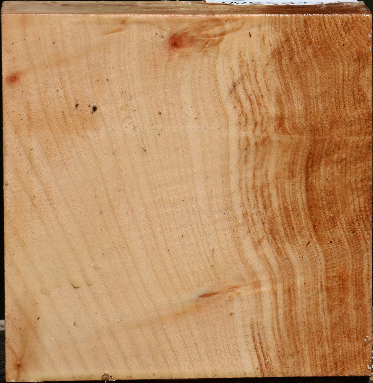 Figured Maple Bowl Blank