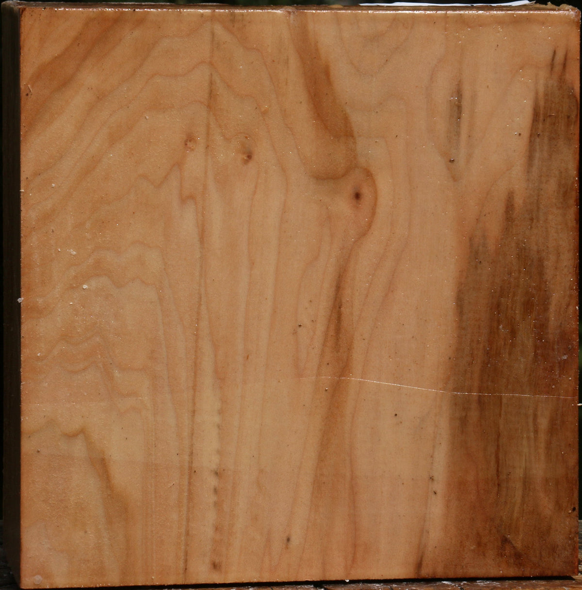 Figured Maple Bowl Blank