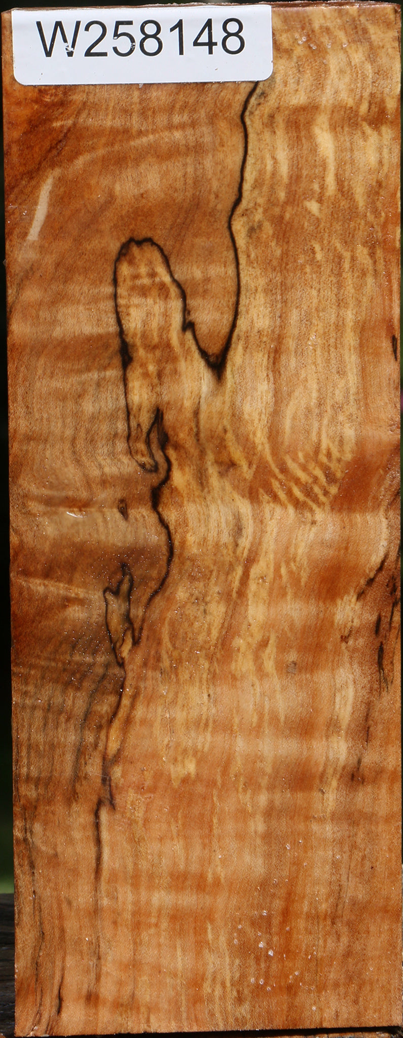 Figured Maple Vessel Blank