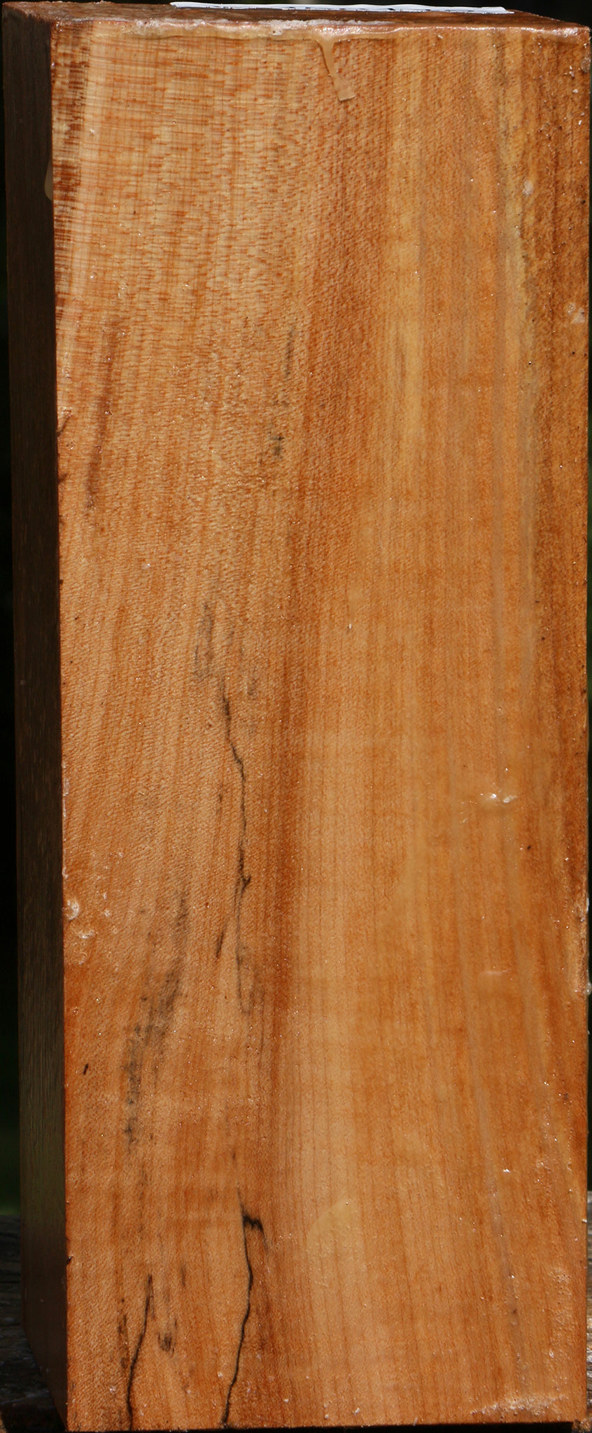 Figured Maple Vessel Blank